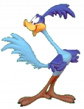bip